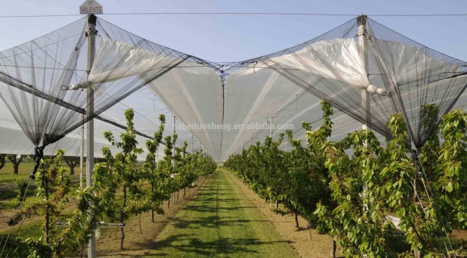 ARNAP Foundation and UNDP joint experience  studied during the development of project for subsidizing  interest rates for anti-hail nets in Armenia’s agricultural sector